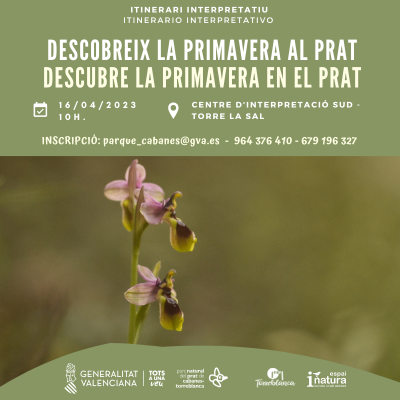 Ruta: descubre la primavera en el Prat