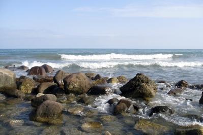 Visita guiada: la biodiversitat de la nostra costa més verge