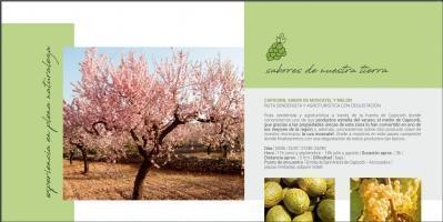 CAPICORB, sabor de moscatell i meló. Ruta senderista i agroturística