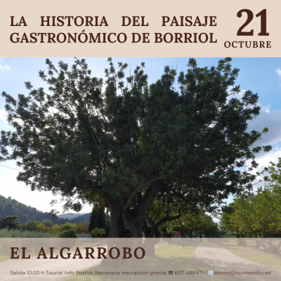 Visita guiada la historia del paisaje gastronómico de borriol: EL ALGARROBO