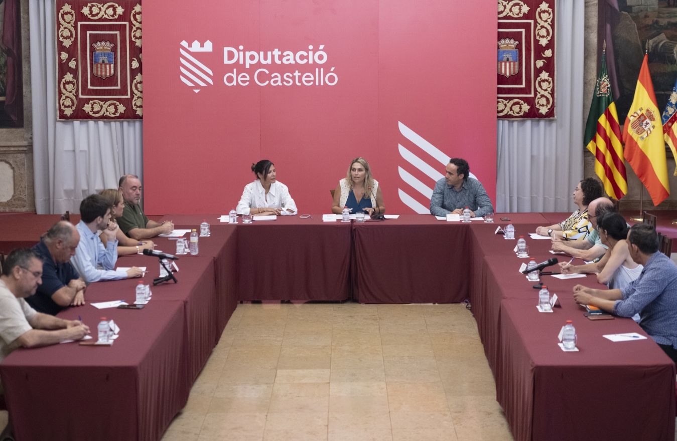 La Diputació de Castelló reunirà als municipis afectats per la megaplanta fotovoltaica Arada Solar per a defensar el territori