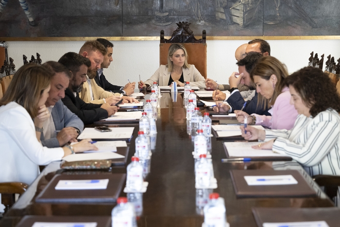 La Diputació de Castelló promou el desenvolupament del territori amb el repartiment de 1,5 milions d'euros del Pla d'Ocupació entre 134 municipis de la província