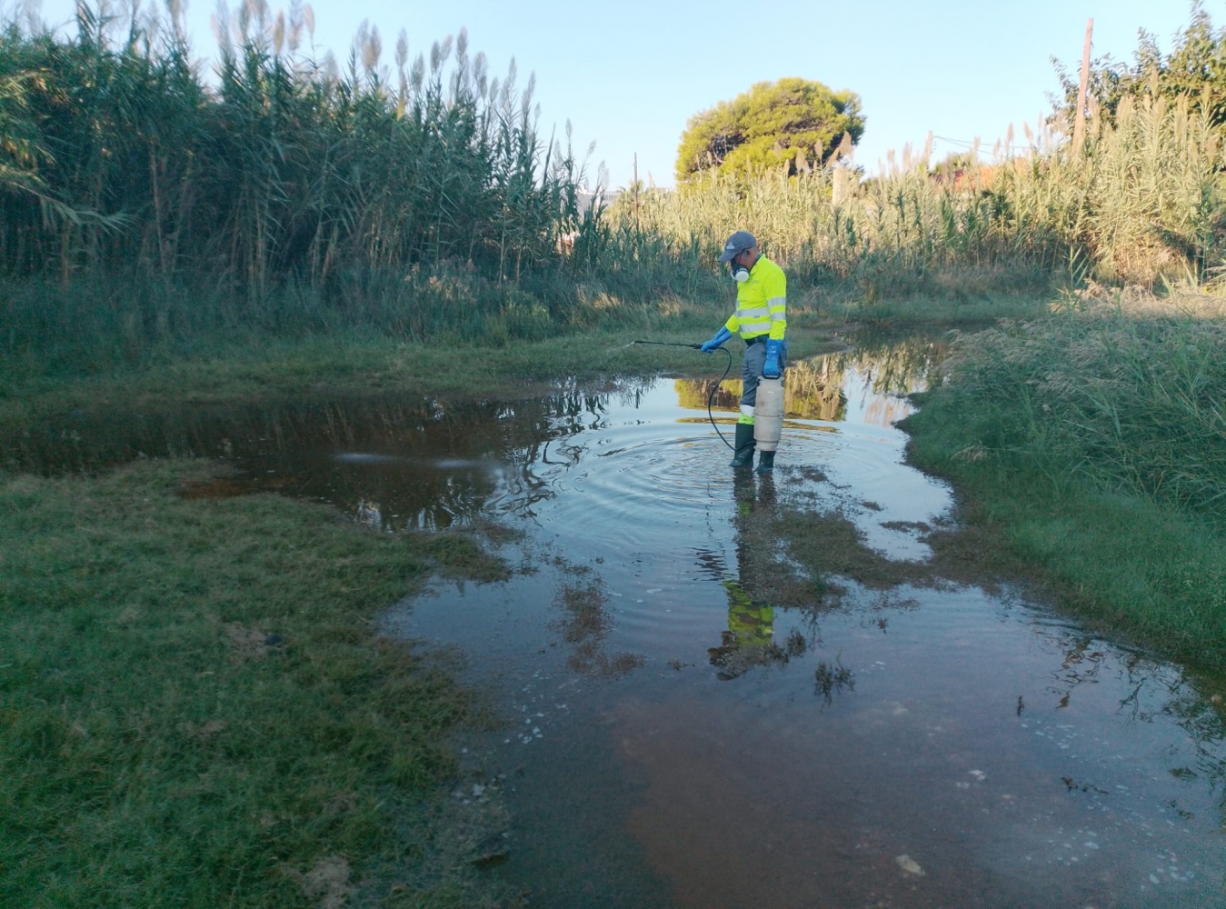 La Diputación de Castellón intensifica las actuaciones de vigilancia y tratamiento larvicidas para prevenir la proliferación de mosquitos en la provincia tras las últimas lluvias
