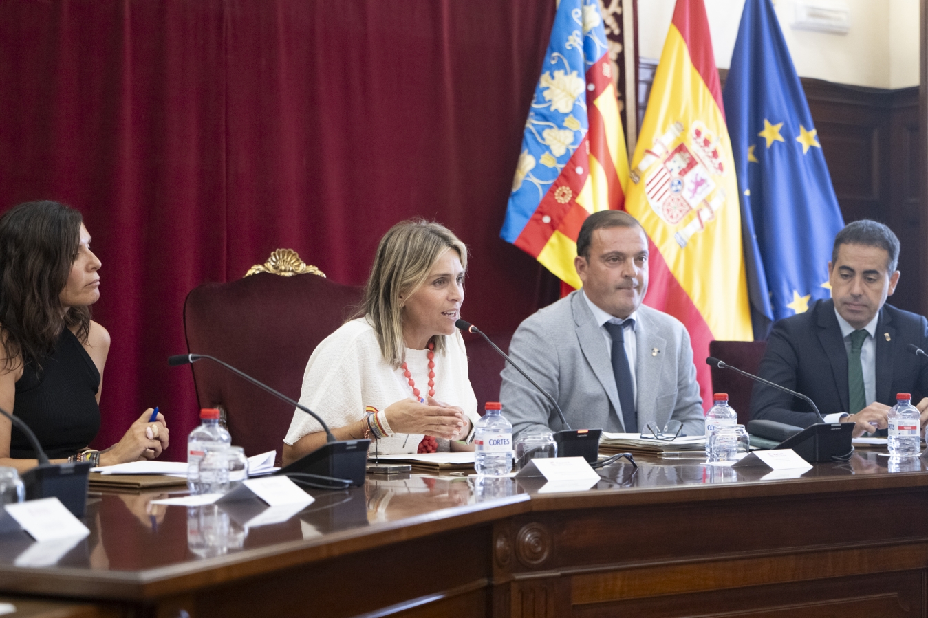 La Diputación de Castellón exigirá al Gobierno de España una auditoría urgente sobre los fallos de las pulseras antimaltrato