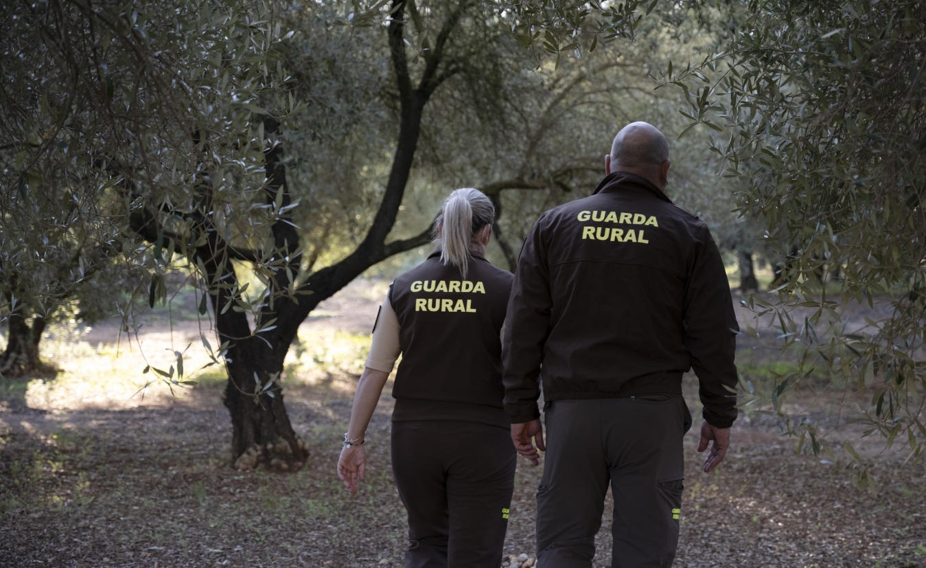 La Diputació de Castelló aposta per la seguretat en el camp amb la concessió d'ajudes destinades a 15 municipis per a la contractació de guardes rurals