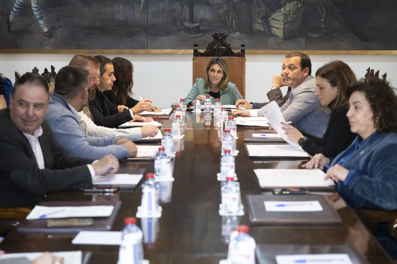 La Diputación de Castellón refuerza el control poblacional de colonias felinas en 67 municipios de la provincia