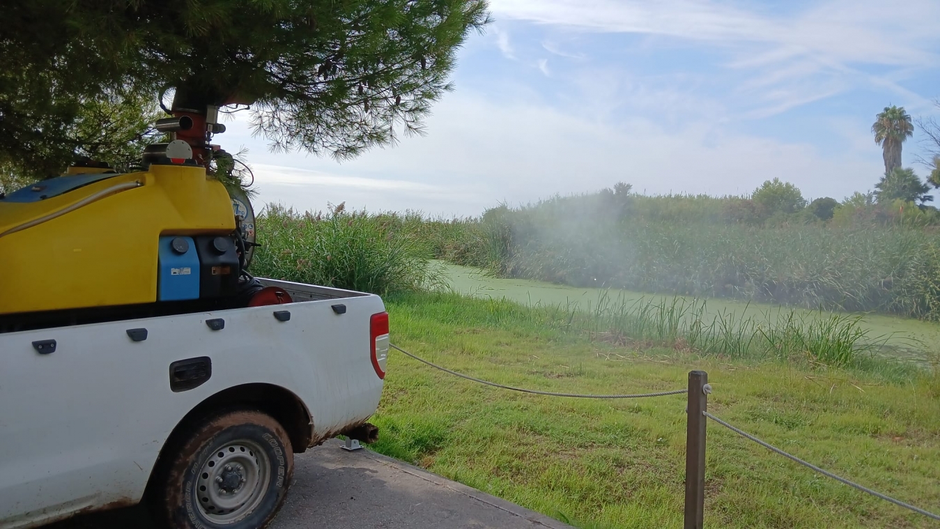 La Diputació intensifica després de les pluges les actuacions de vigilància, mostreig i control de les poblacions de mosquits