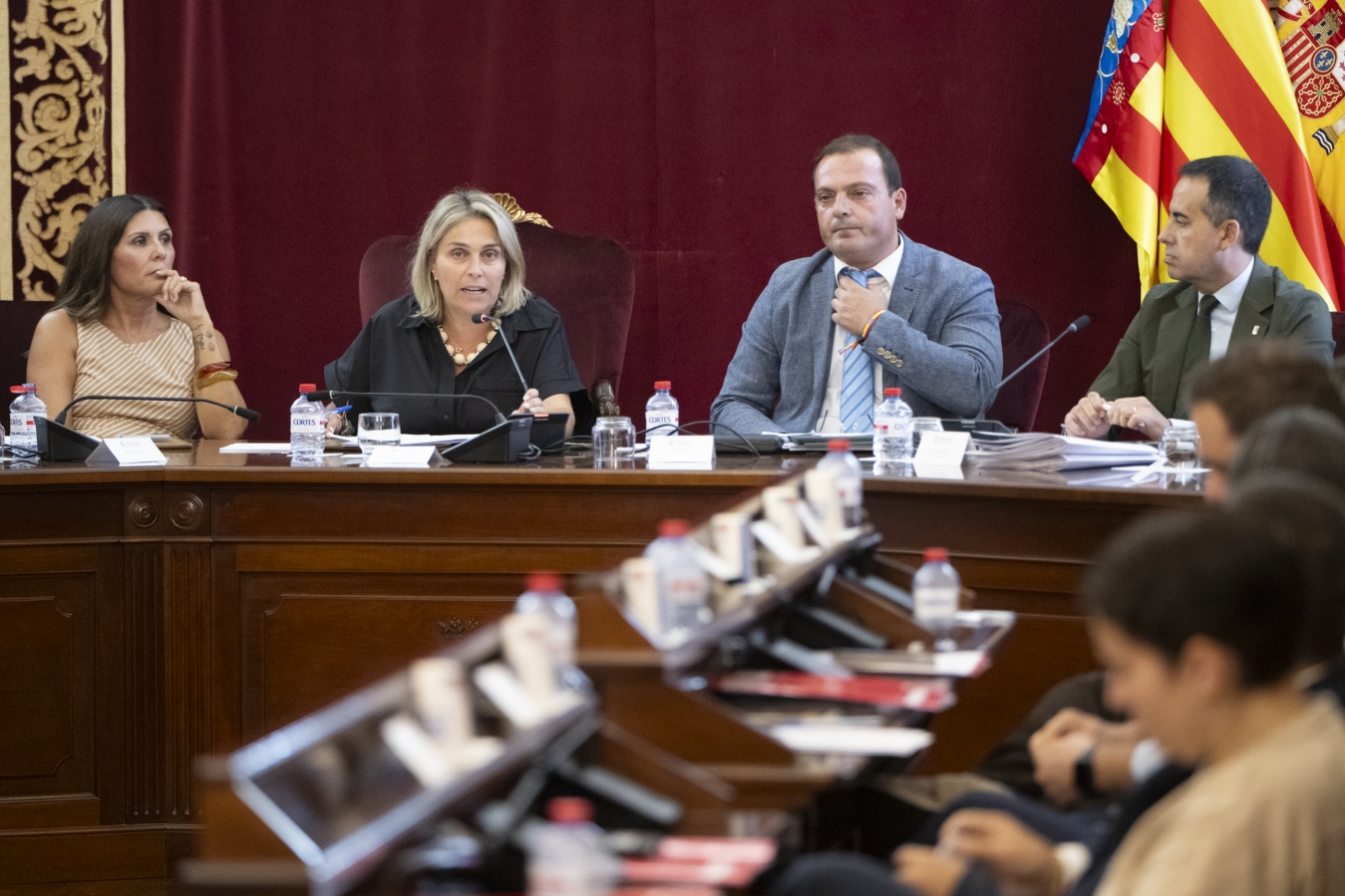 La Diputació de Castelló aprova la injecció de més de 40 milions d'euros directes als municipis de la província